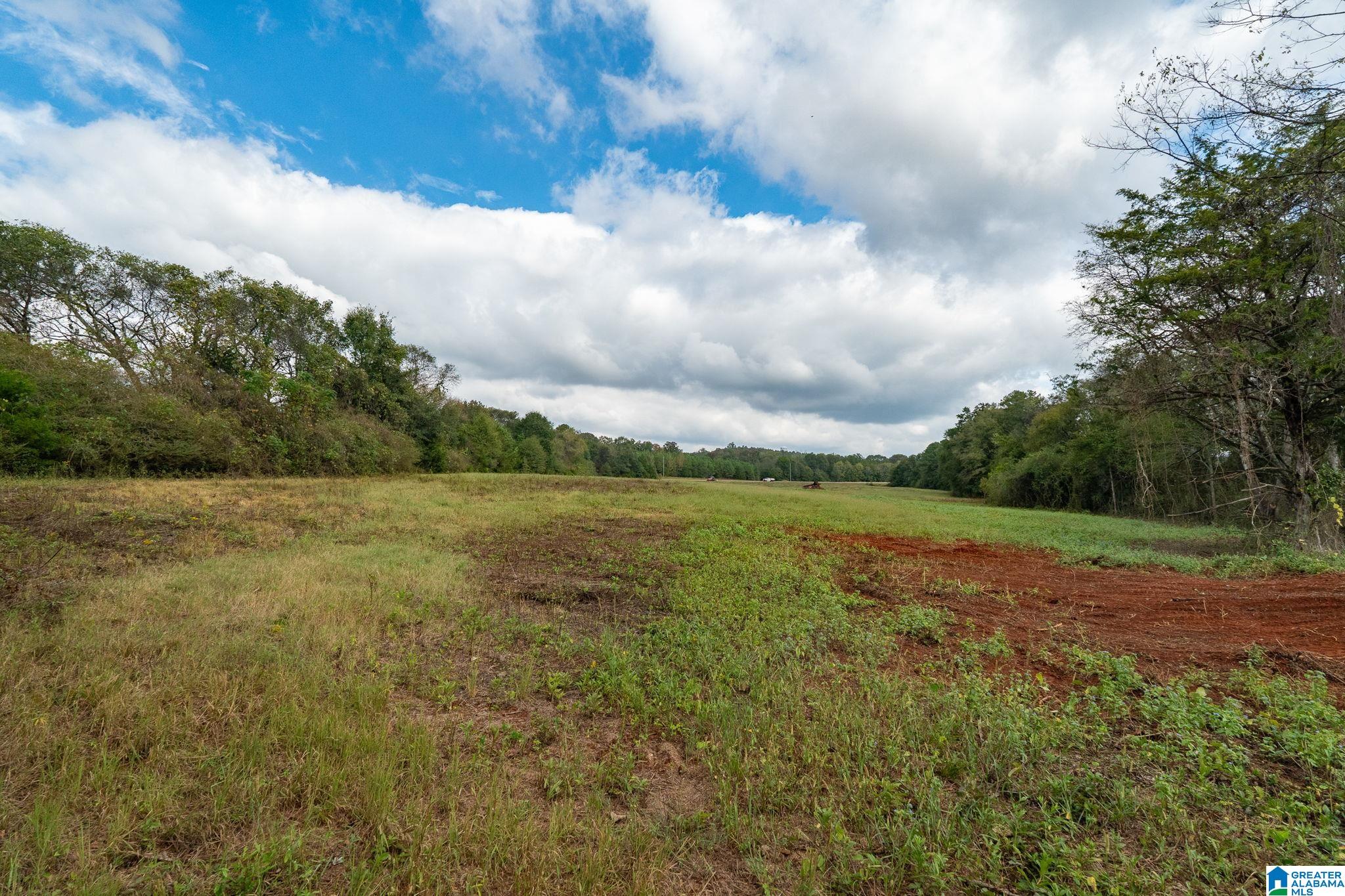 0 Allred Road, Unit PARCEL #5 Lincoln, AL 35096 - Photo 5 of 24