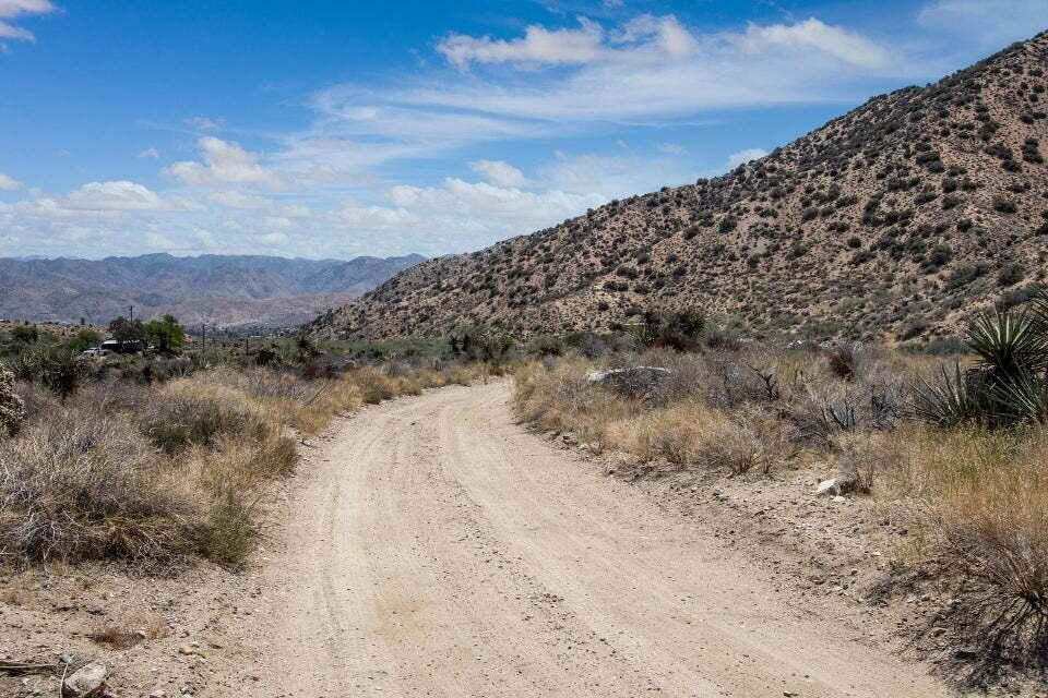 116 Big Morongo Canyon Morongo Valley, CA 92256 - Photo 3 of 22 a view of a dry yard with mountains in the background