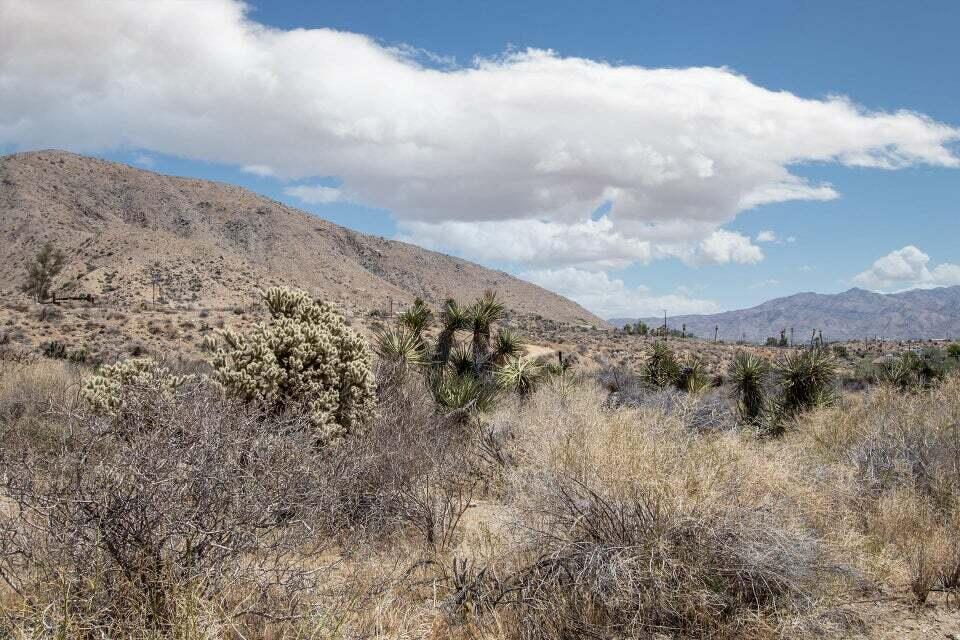 116 Big Morongo Canyon Morongo Valley, CA 92256 - Photo 5 of 22 a view of mountain with lake view