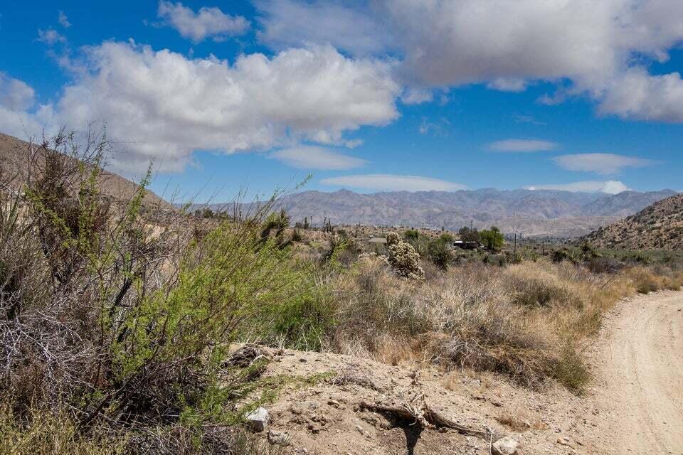 116 Big Morongo Canyon Morongo Valley, CA 92256 - Photo 7 of 22 a view of a yard