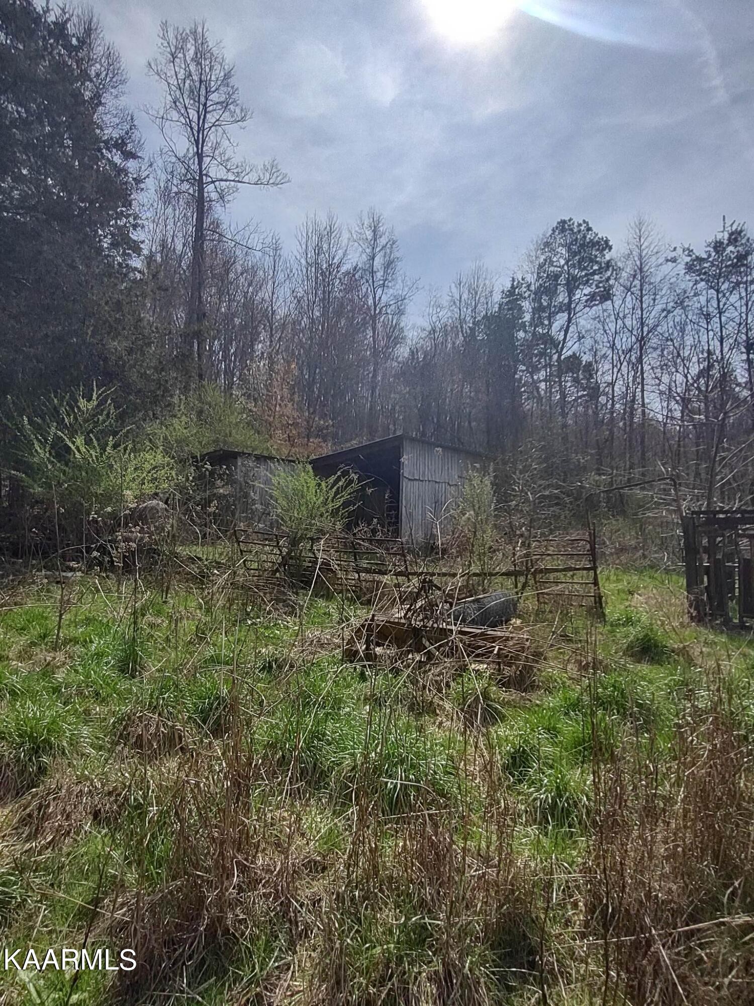 175 Hall Road Loudon, TN 37774 - Photo 15 of 26 Gallery Image 15
