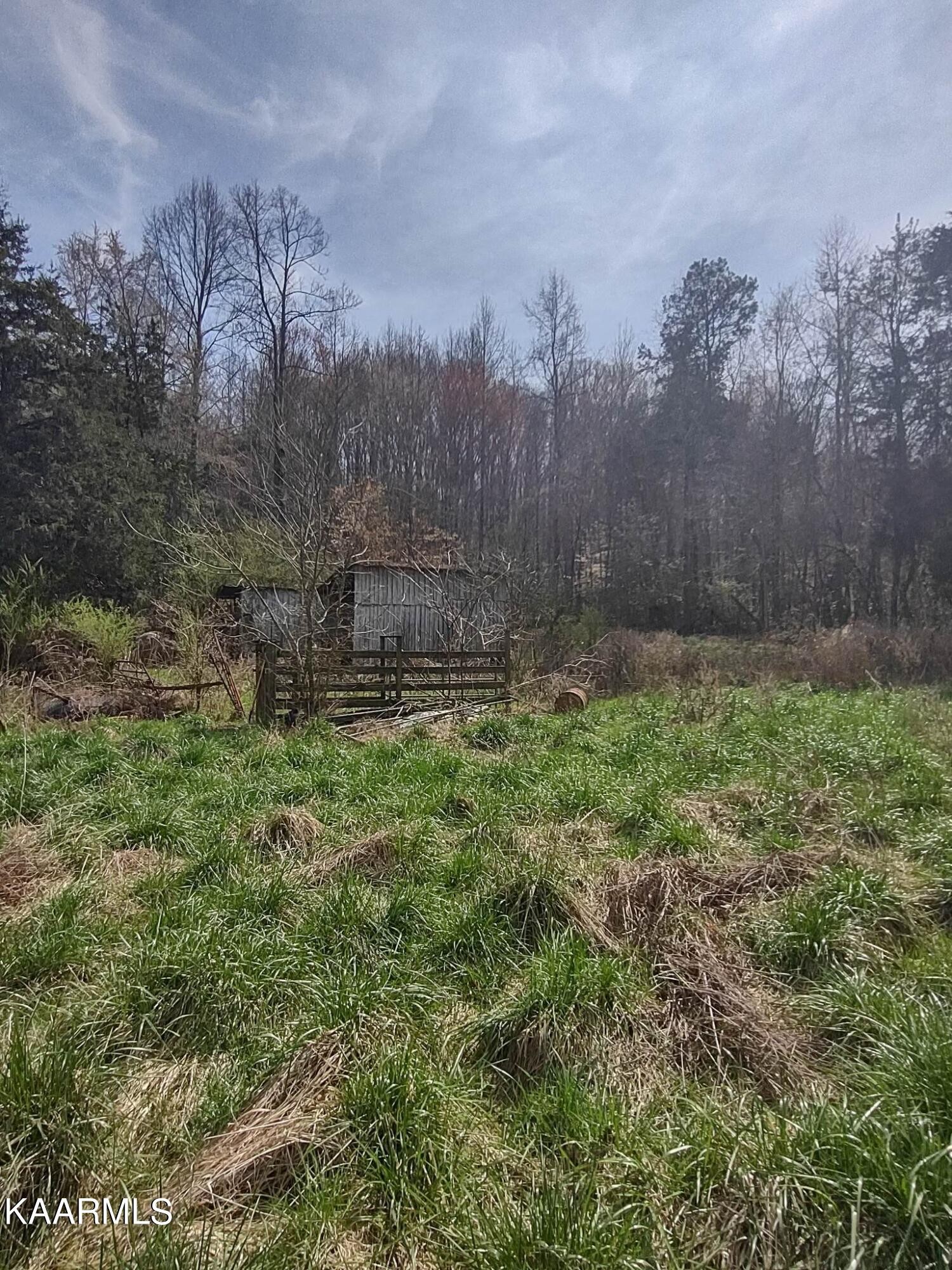 175 Hall Road Loudon, TN 37774 - Photo 16 of 26 Gallery Image 16