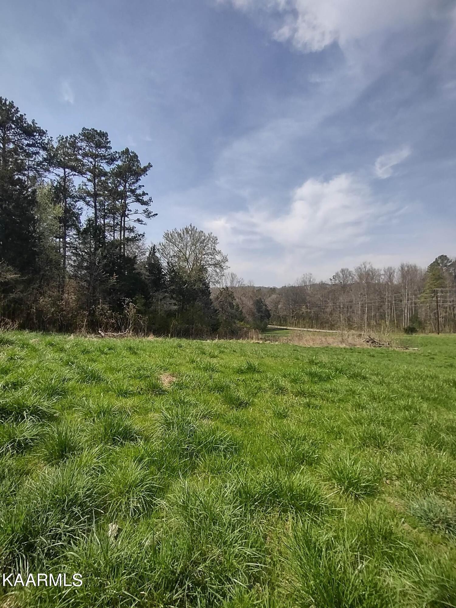175 Hall Road Loudon, TN 37774 - Photo 20 of 26 Gallery Image 20