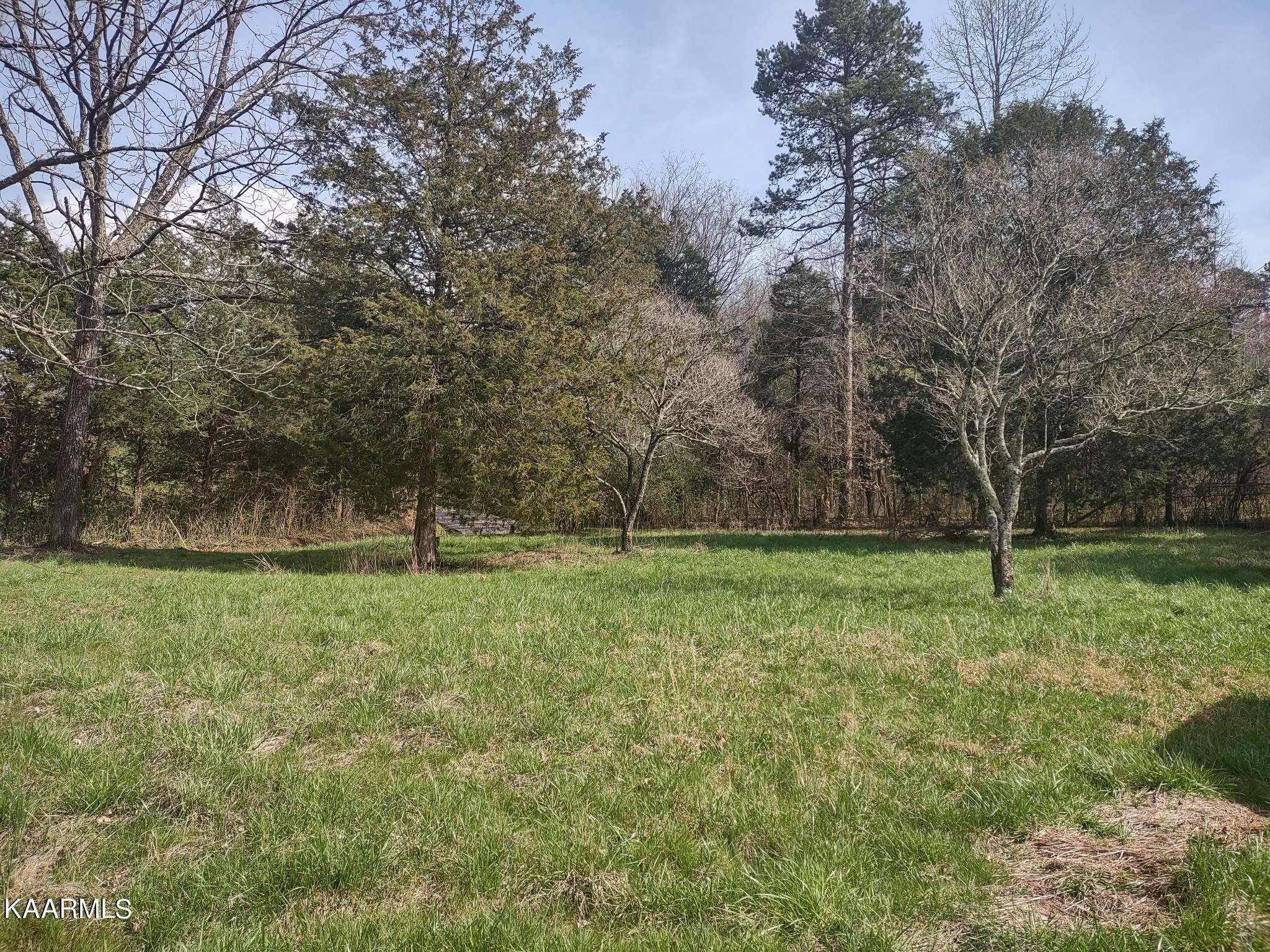 175 Hall Road Loudon, TN 37774 - Photo 22 of 26 Gallery Image 22