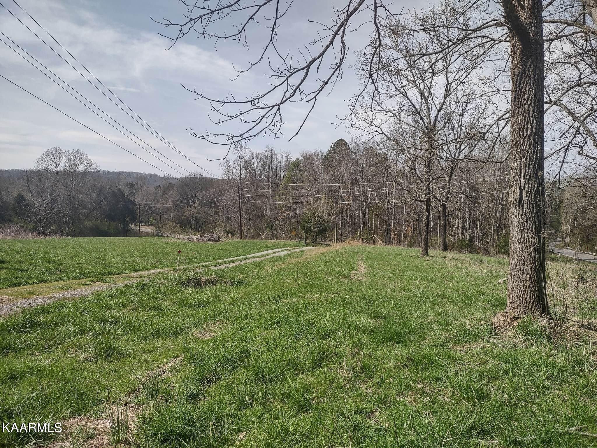 175 Hall Road Loudon, TN 37774 - Photo 23 of 26 Gallery Image 23