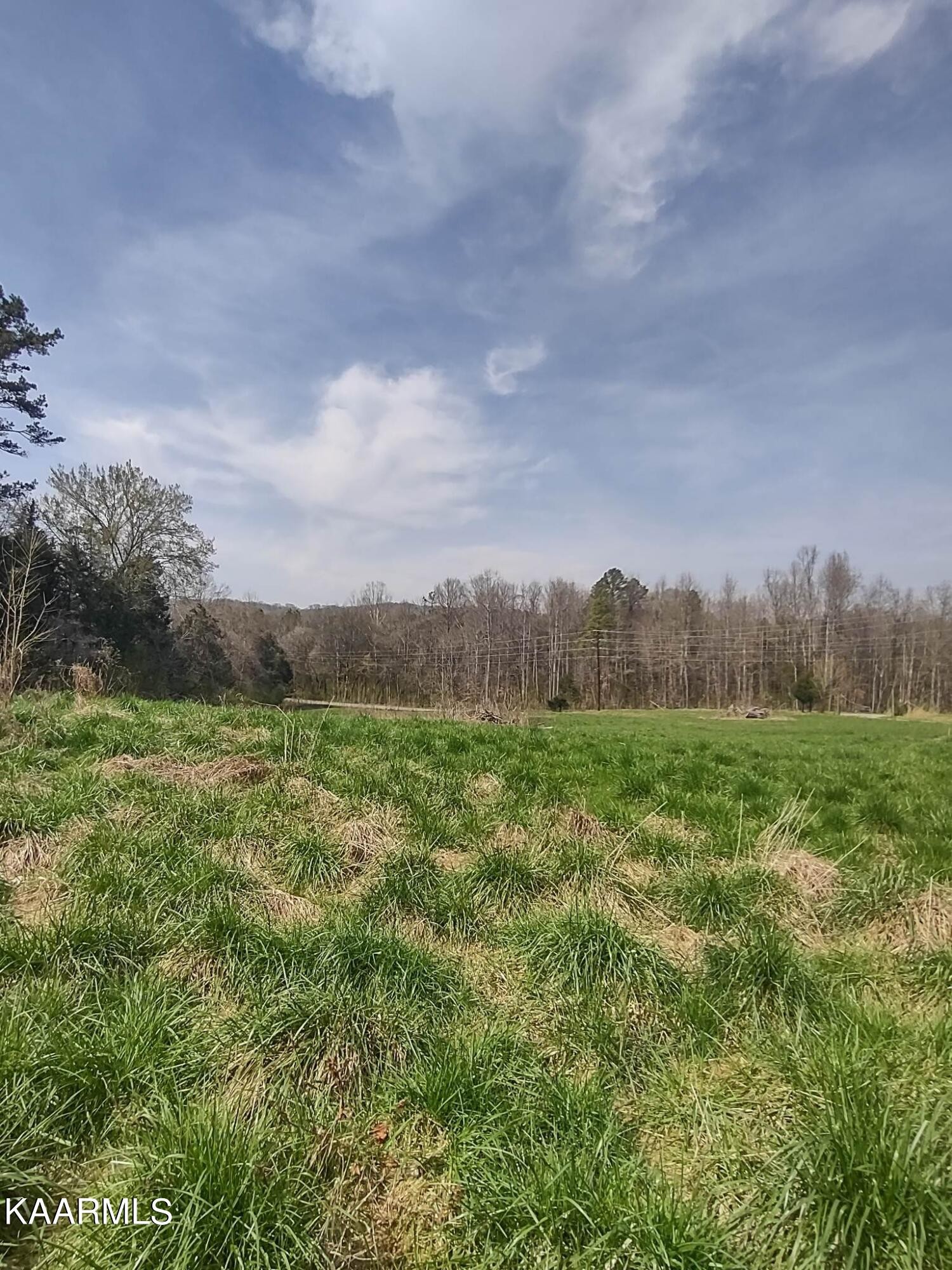 175 Hall Road Loudon, TN 37774 - Photo 9 of 26 Gallery Image 9