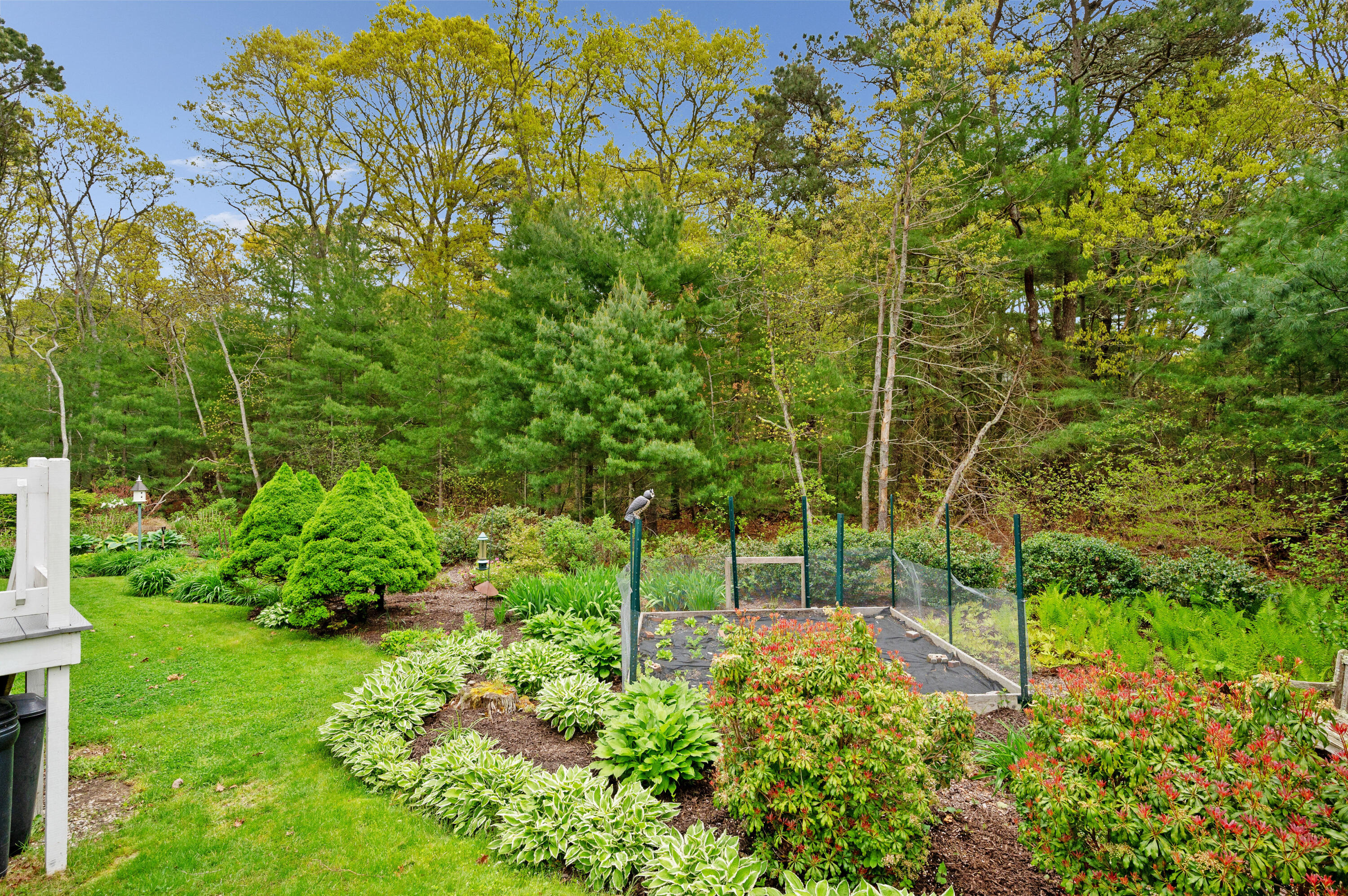 50 Hyde Park Centerville, MA 02632 - Photo 31 of 38 a view of yard with small space