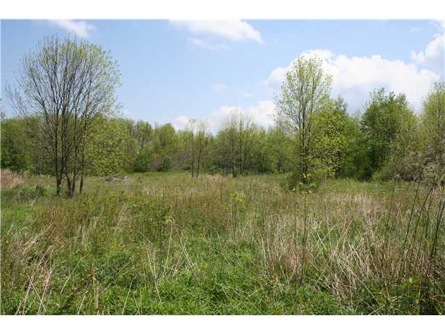 5214 County Line Road Walworth, NY 14580 - Photo 1 of 1 Land. View is looking east from the road and shows