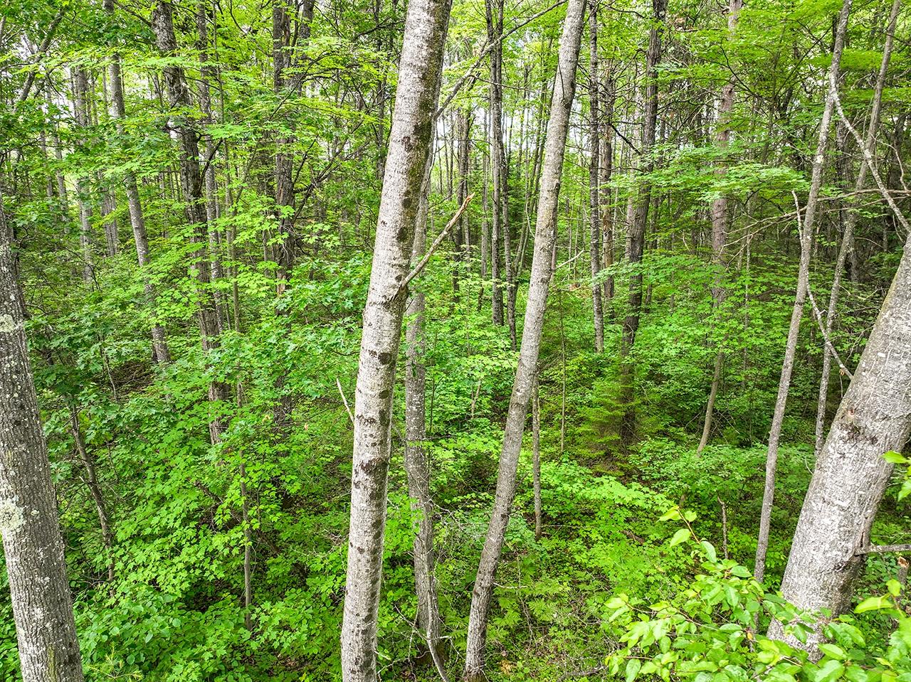 On Cottage Road Tomahawk, WI 54487 - Photo 16 of 23 Gallery Image 16