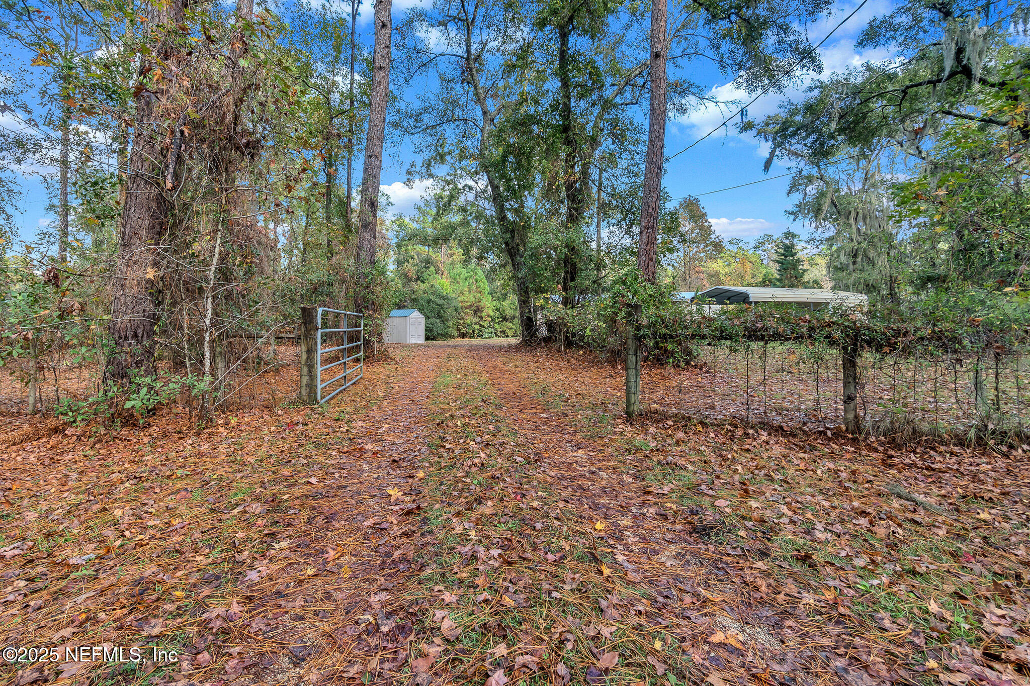 86446 Peeples Road Yulee, FL 32097 - Photo 2 of 42 a view of a forest with trees