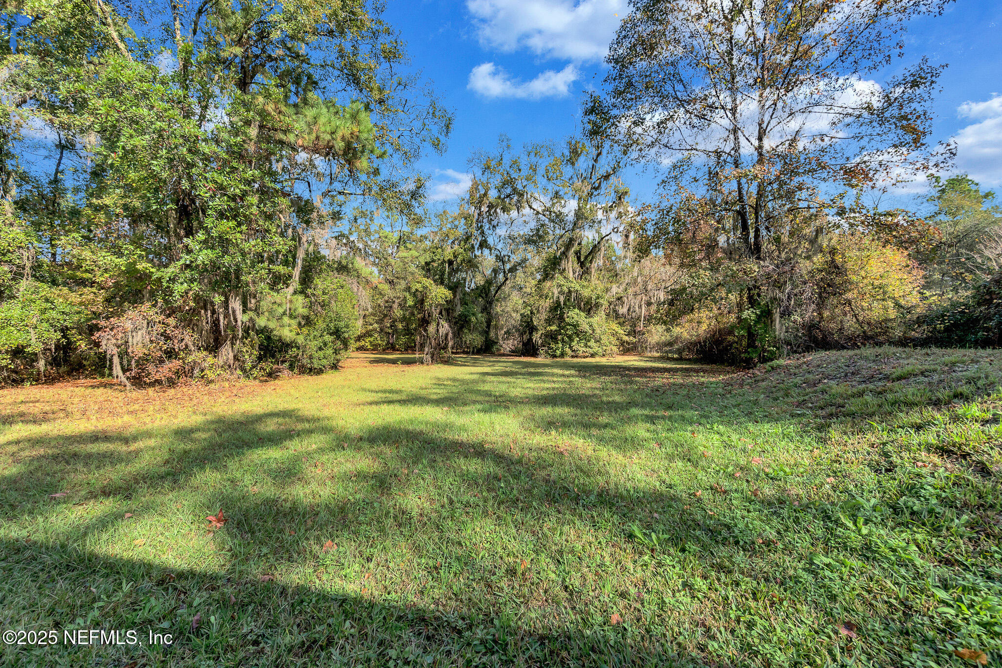 86446 Peeples Road Yulee, FL 32097 - Photo 10 of 42 a view of outdoor space with trees all around