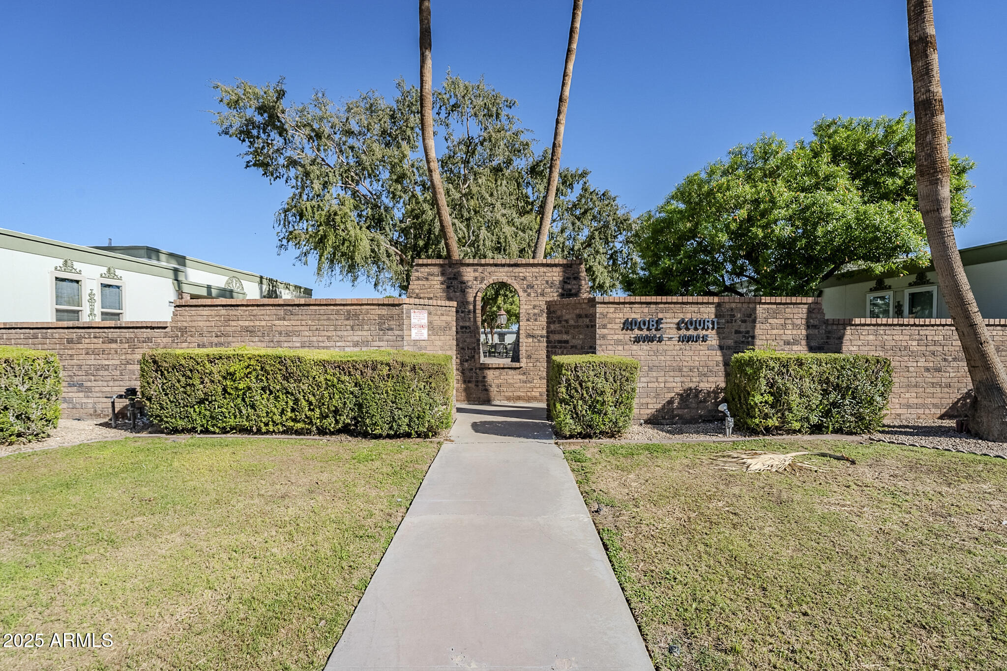 10010 West Royal Oak Road, Unit R Sun City, AZ 85351 - Photo 27 of 28 a view of a garden with plants