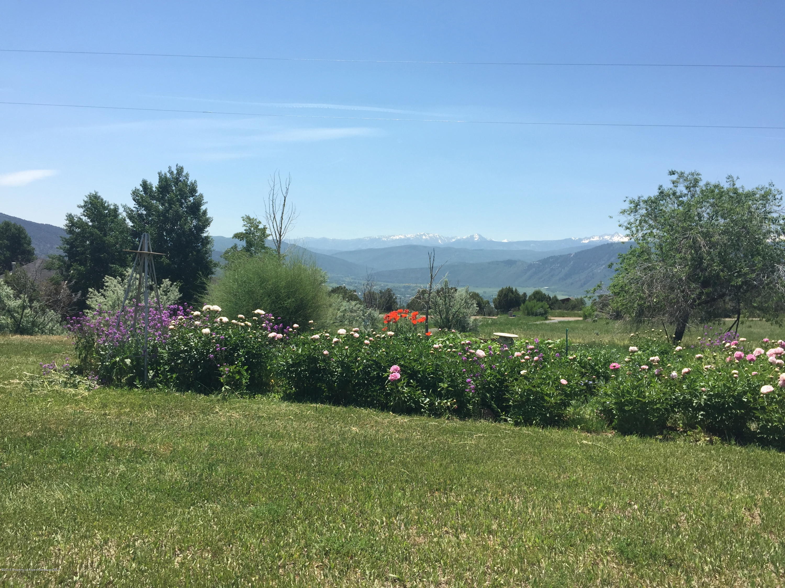 530 Paseo Road Carbondale, CO 81623 - Photo 5 of 19 IMG_1874