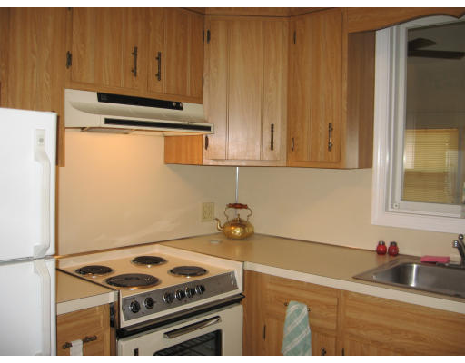 11 Sylvester Road Newton, MA 02465 - Photo 6 of 12