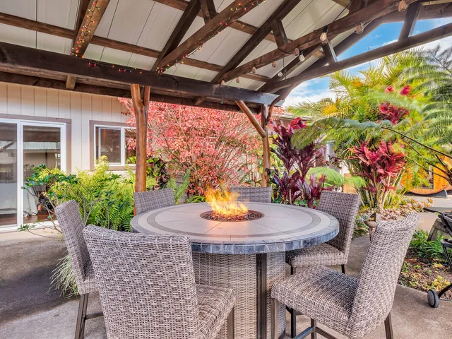 a view of a garden with a plant