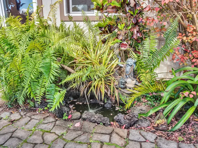 a view of a potted plant