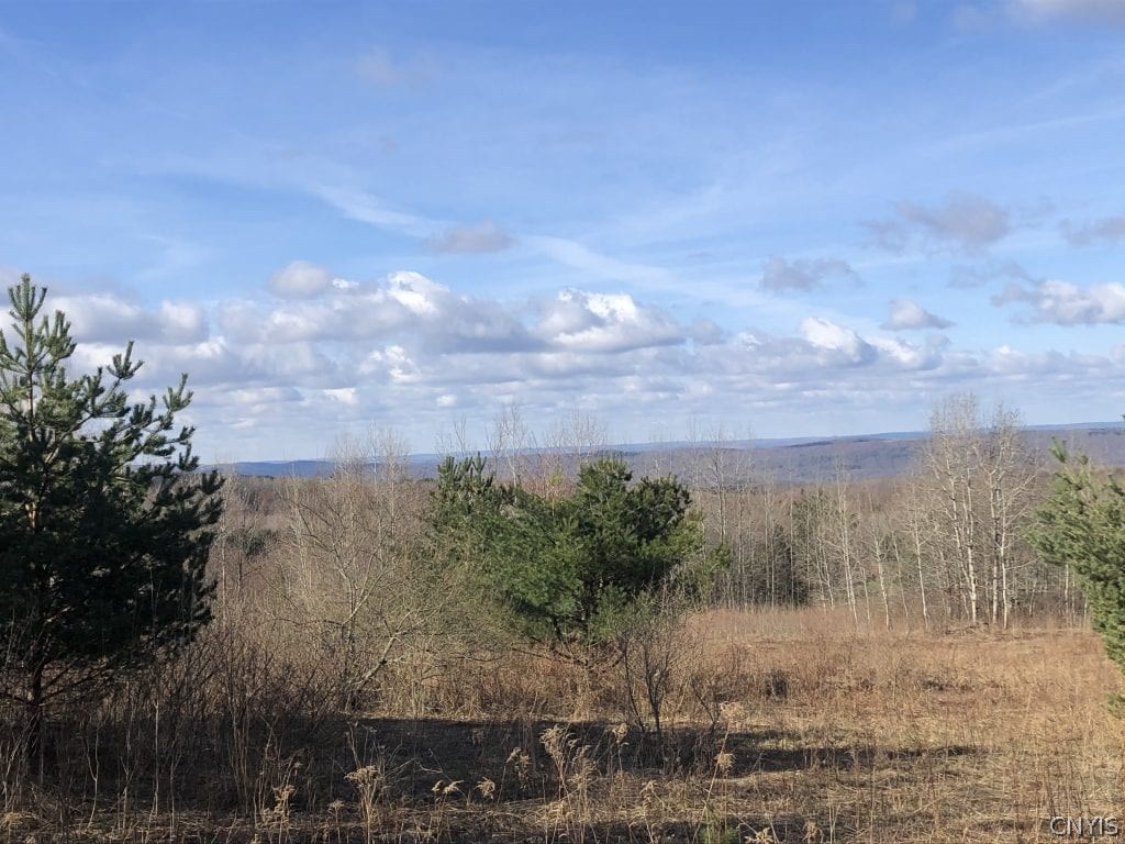 0 Grouse Road Springwater, NY 14560 - Photo 2 of 9