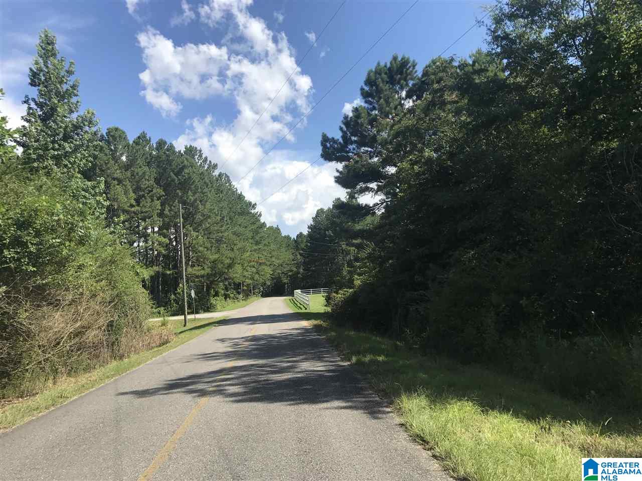 Lot 8 Mill Creek Road, Unit 8 Townley, AL 35587 - Photo 2 of 5