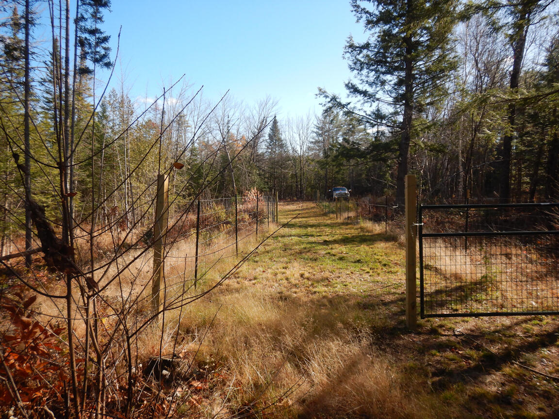 1074 Grover Hill Road Bethel, ME 04217 - Photo 14 of 23 DSCN6909