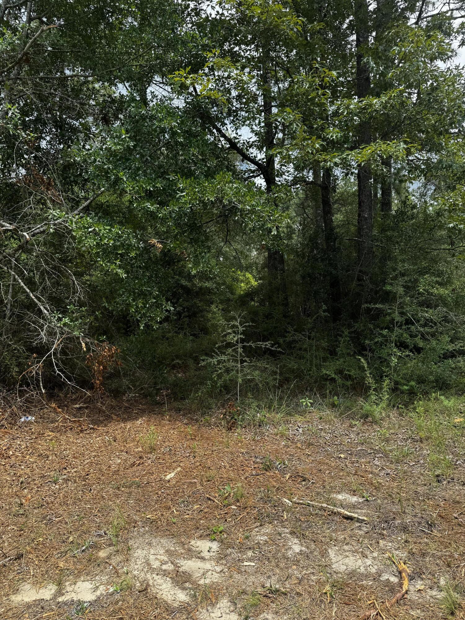 1.74-ac Poverty Creek Road Crestview, FL 32539 - Photo 2 of 10 a view of outdoor space and tree