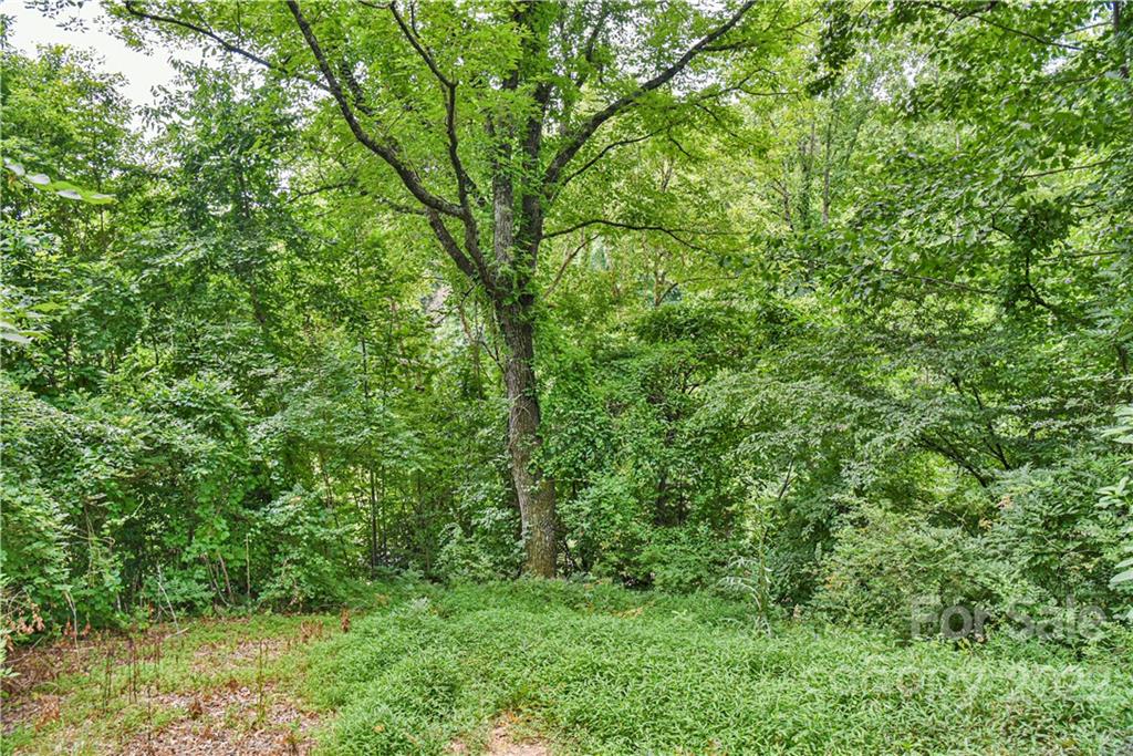 482 AB Elliott Road Marion, NC 28752 - Photo 3 of 18 Gallery Image 3