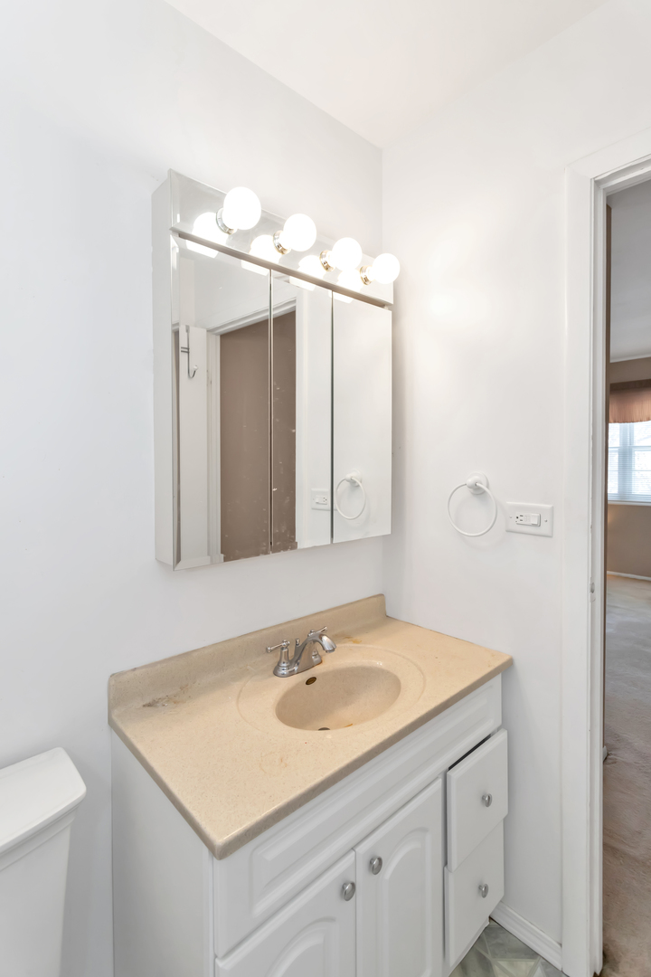 1900 Chippendale Road Hoffman Estates, IL 60169 - Photo 21 of 37 a bathroom with a sink and a mirror