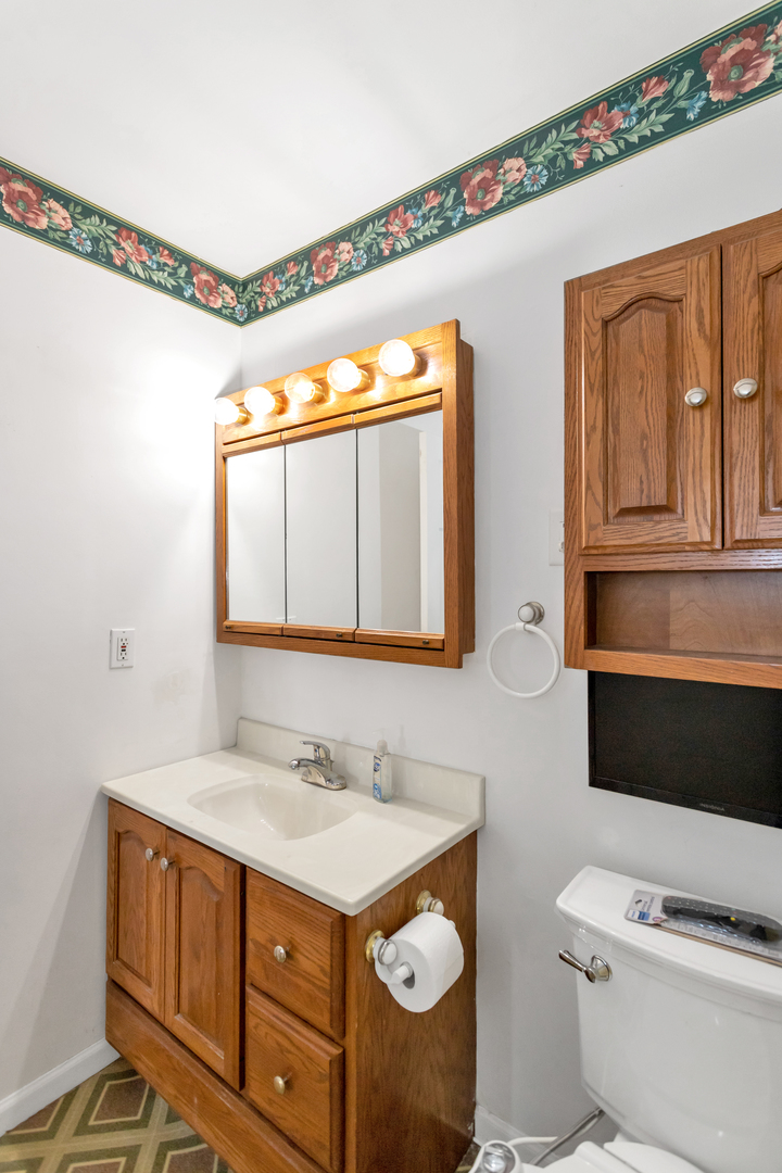 1900 Chippendale Road Hoffman Estates, IL 60169 - Photo 26 of 37 a bathroom with a sink a mirror and a toilet