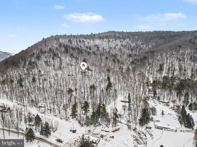 a view of a back yard