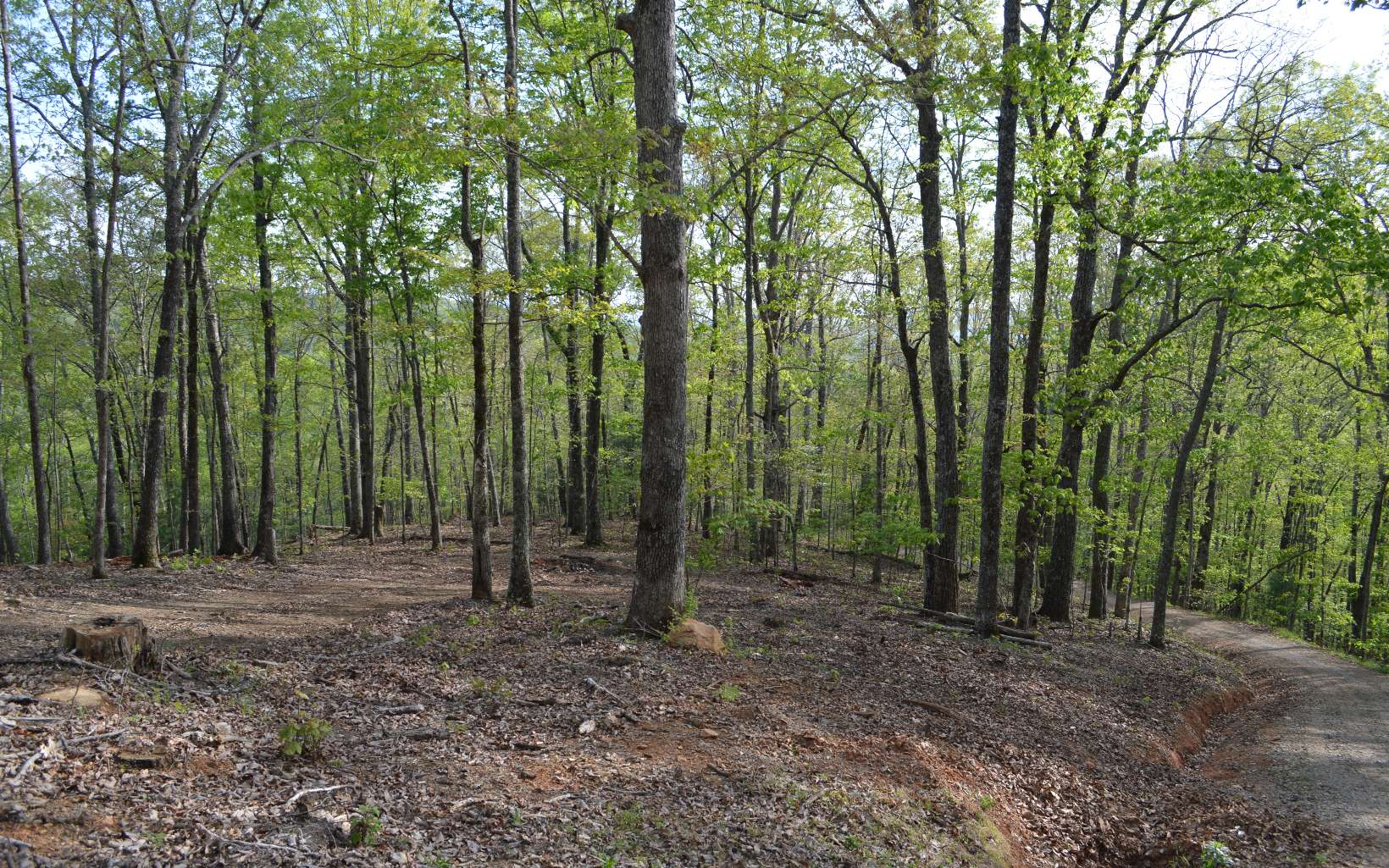 17 North Ridge Trail Brasstown, NC 28902 - Photo 1 of 1 Main View