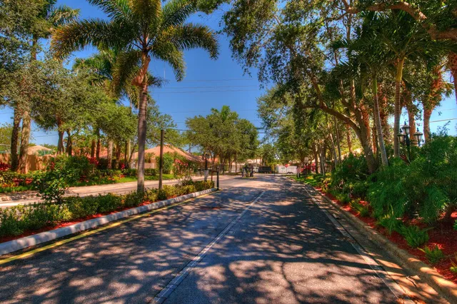 a view of a street with a tree