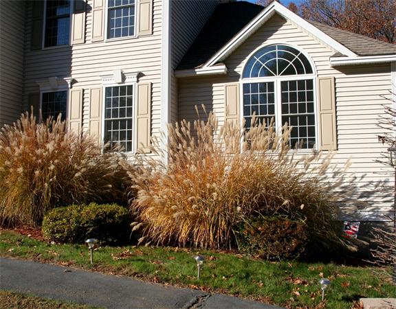 18 Lane's Ten Acres Road Merrimac, MA 01860 - Photo 4 of 29 Gallery Image 4