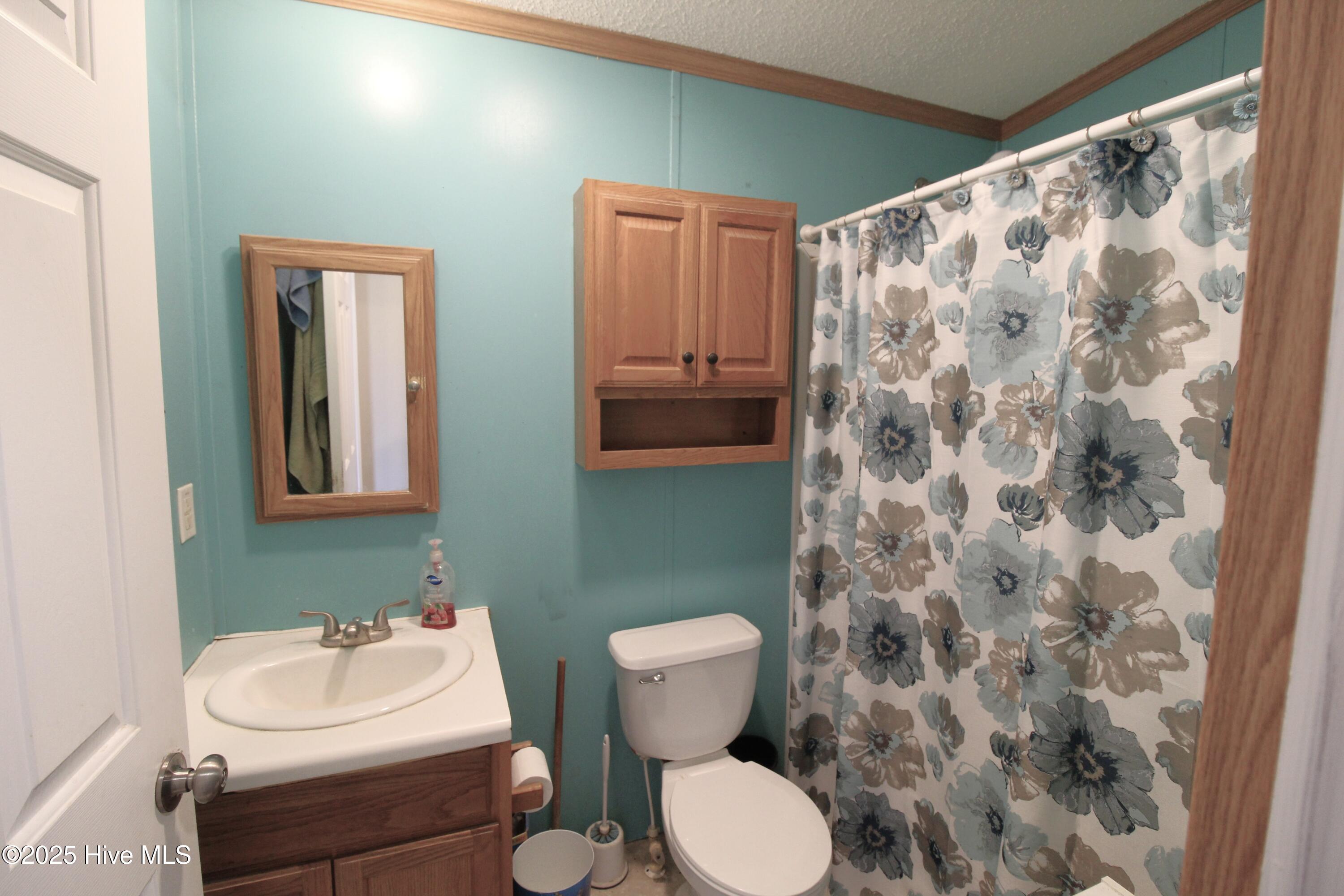 106 Taylor Farm Road Beaufort, NC 28516 - Photo 16 of 20 Guest Bathroom