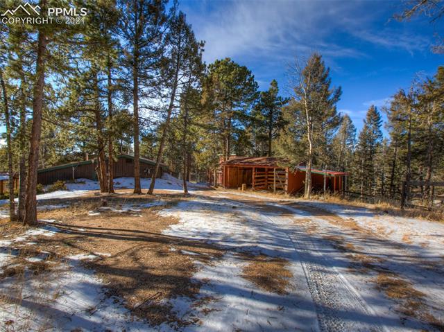 3145 Cedar Mountain Road Divide, CO 80814 - Photo 6 of 22 Gallery Image 6