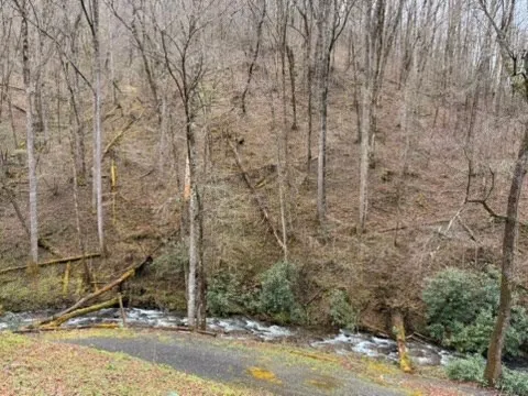 a bench sitting in middle of a yard
