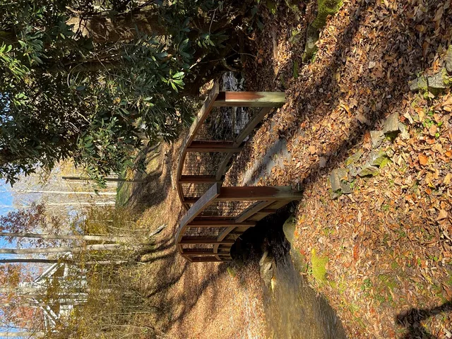 a view of a small yard