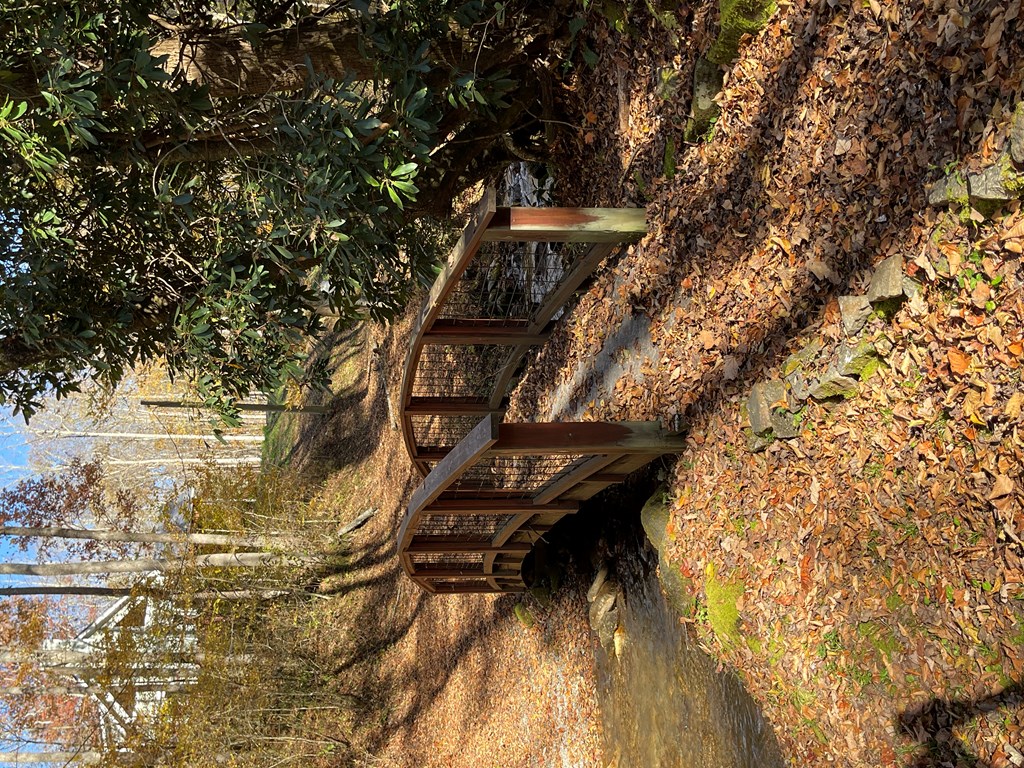 5575 Rainbow Springs Road Franklin, NC 28734 - Photo 30 of 35 a view of outdoor space and yard