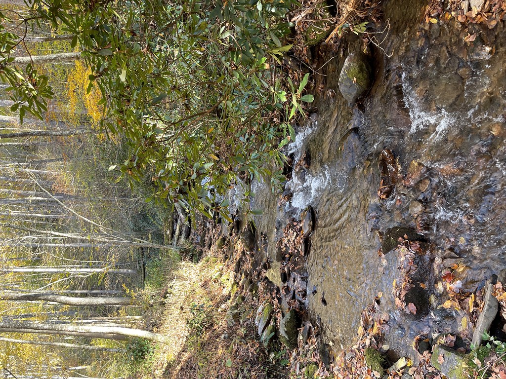 5575 Rainbow Springs Road Franklin, NC 28734 - Photo 31 of 35 a view of a small yard