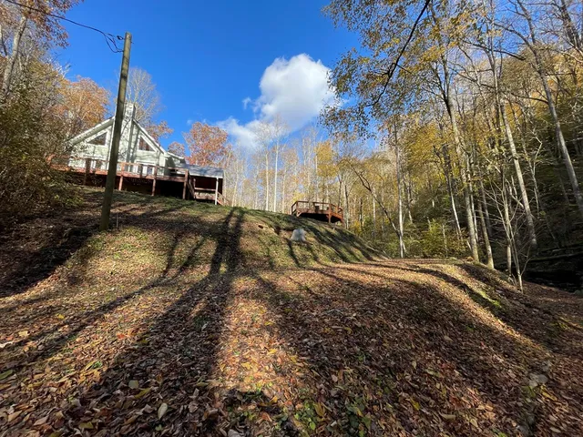 a view of a backyard with large trees