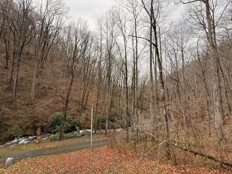 5575 Rainbow Springs Road Franklin, NC 28734 - Photo 10 of 35 a backyard of a house with trees