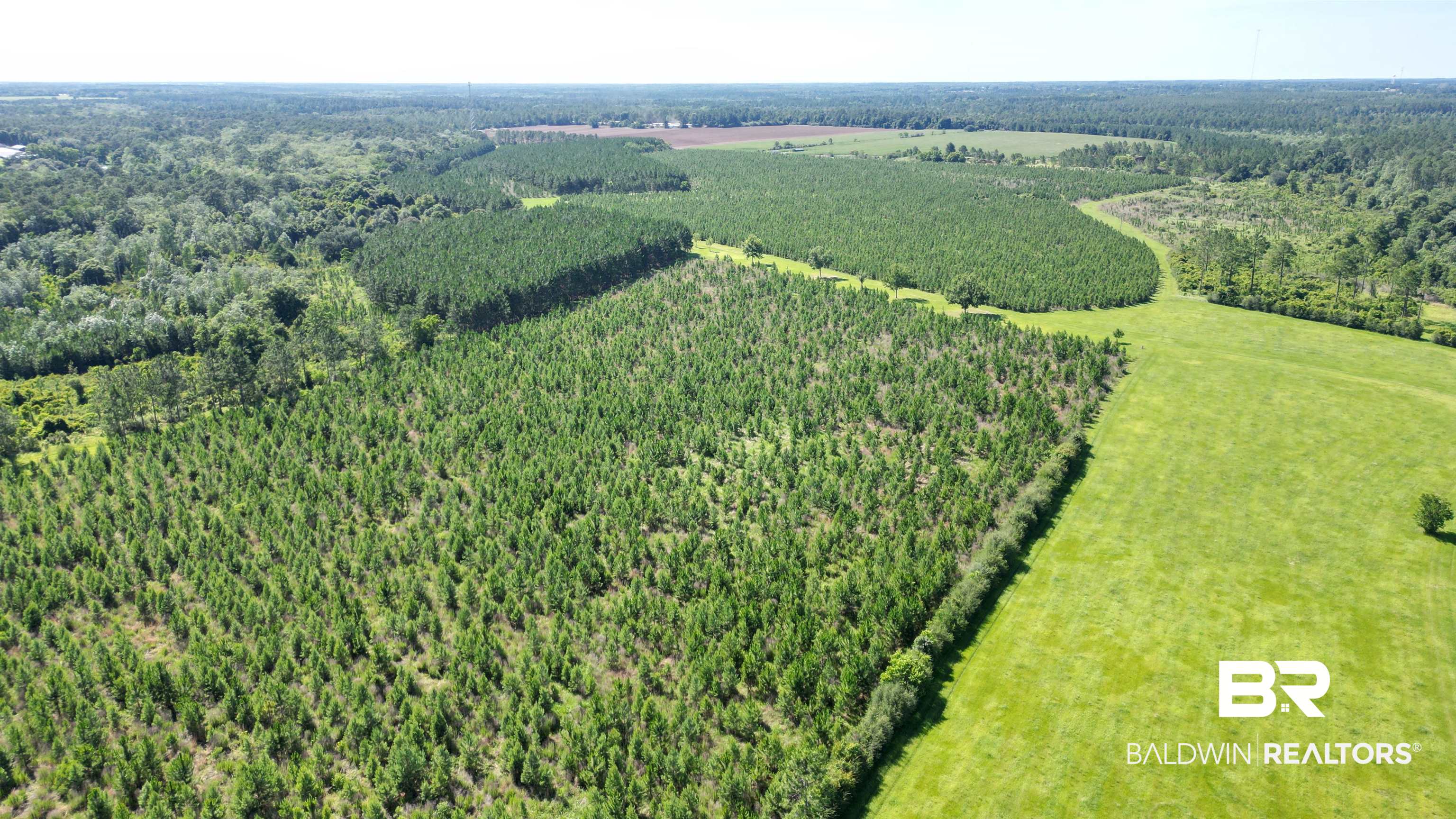 0 County Road 87 Elberta, AL 36530 - Photo 18 of 46
