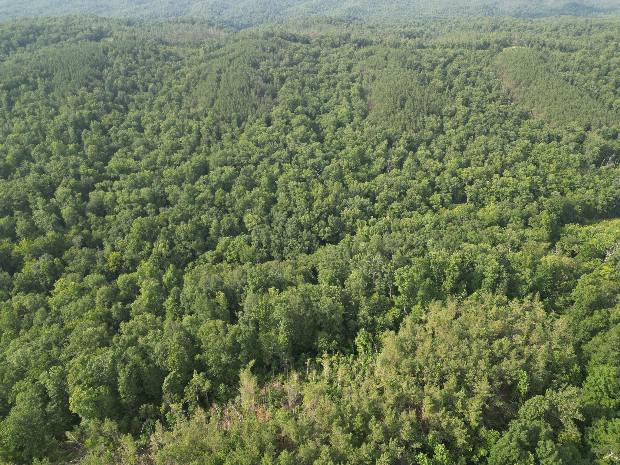 0 Toll Hollow Road Waynesboro, TN 38485 - Photo 33 of 43