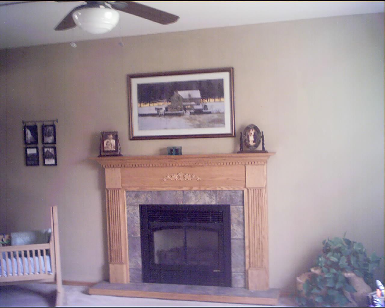 1429 Alpine Road Henryville, PA 18332 - Photo 3 of 7 a living room with a fireplace