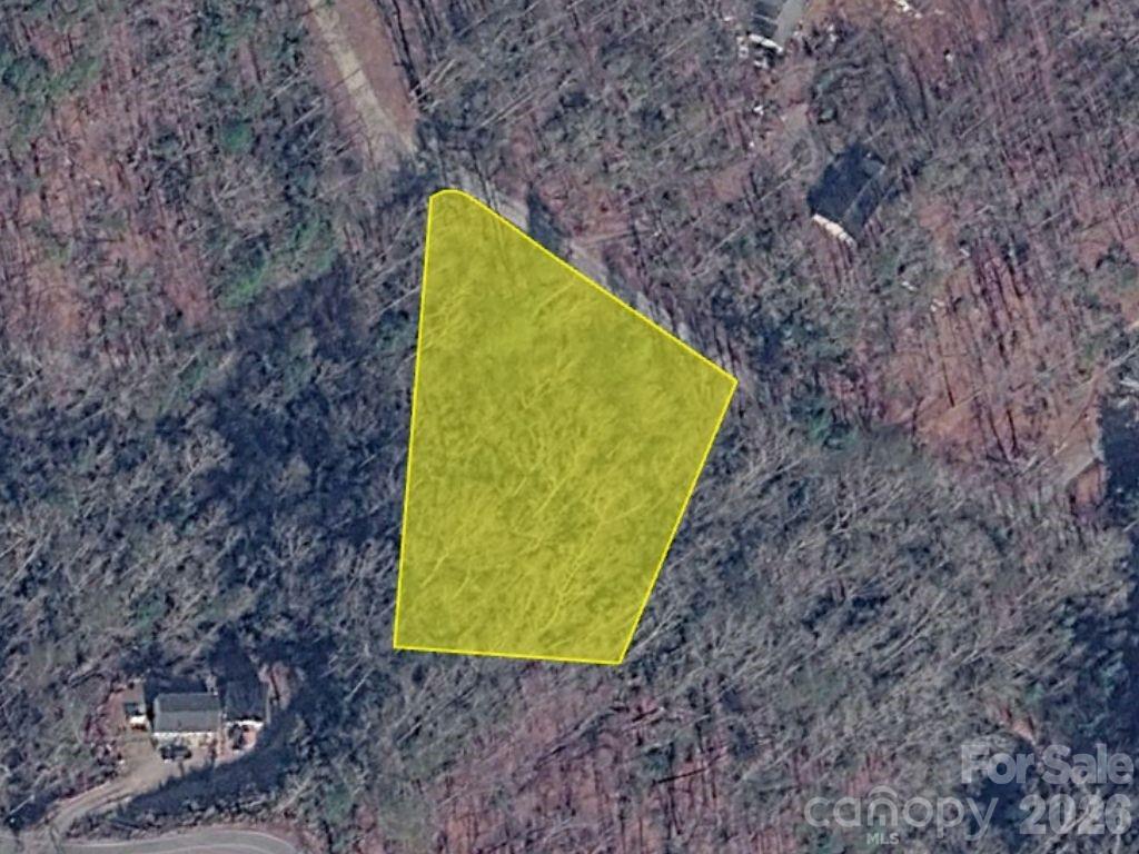 0 Bishop Lane Mill Spring, NC 28756 - Photo 1 of 5