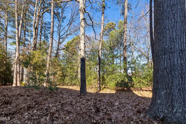 a view of a yard with plants and trees