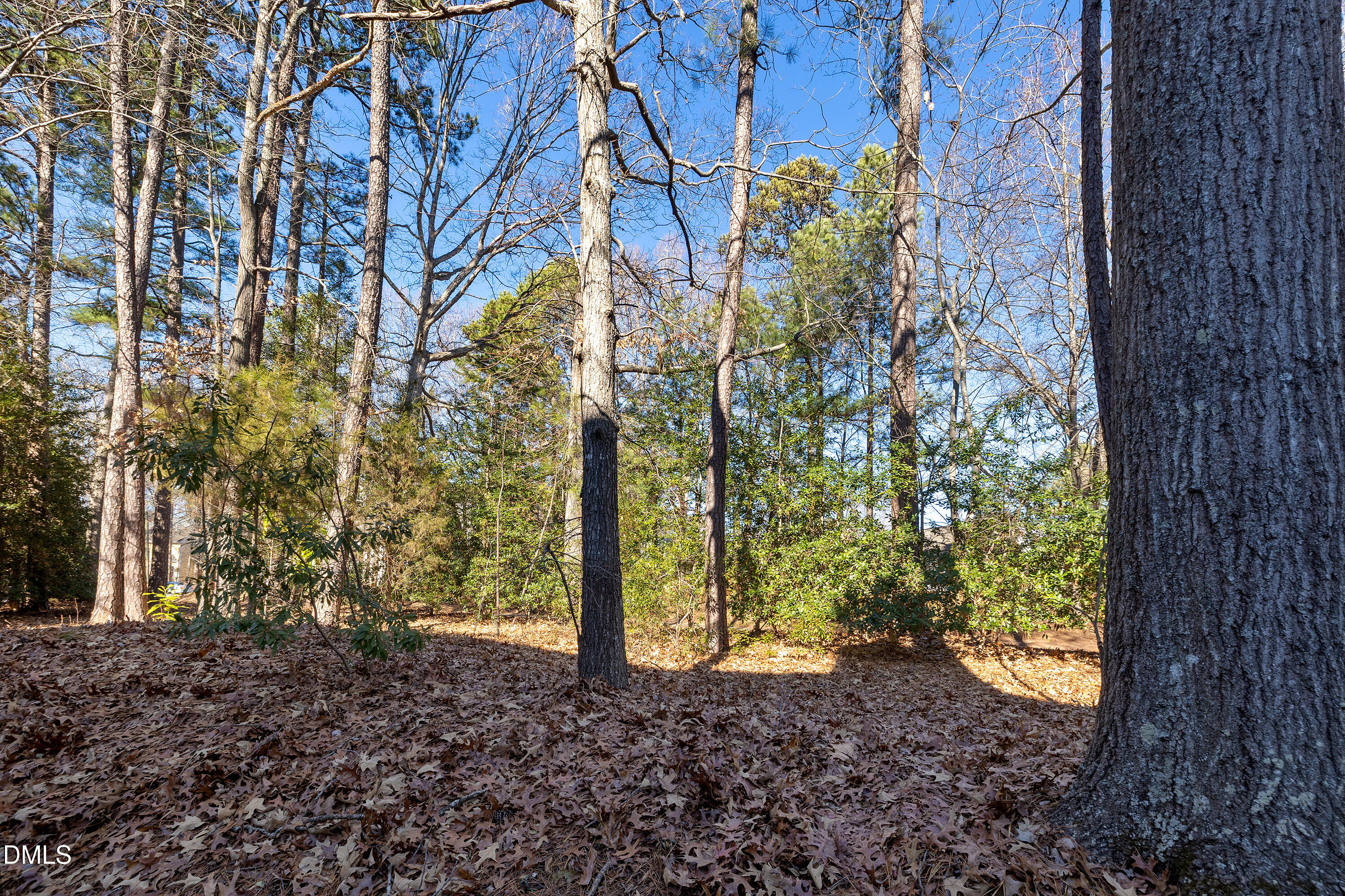 124 Rosewall Lane Cary, NC 27511 - Photo 30 of 32 45-124 Rosewall Lane-_2628