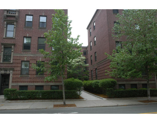 36 Linnaean Street, Unit 1 Cambridge, MA 02138 - Photo 1 of 2 a backyard of a house with lots of green space