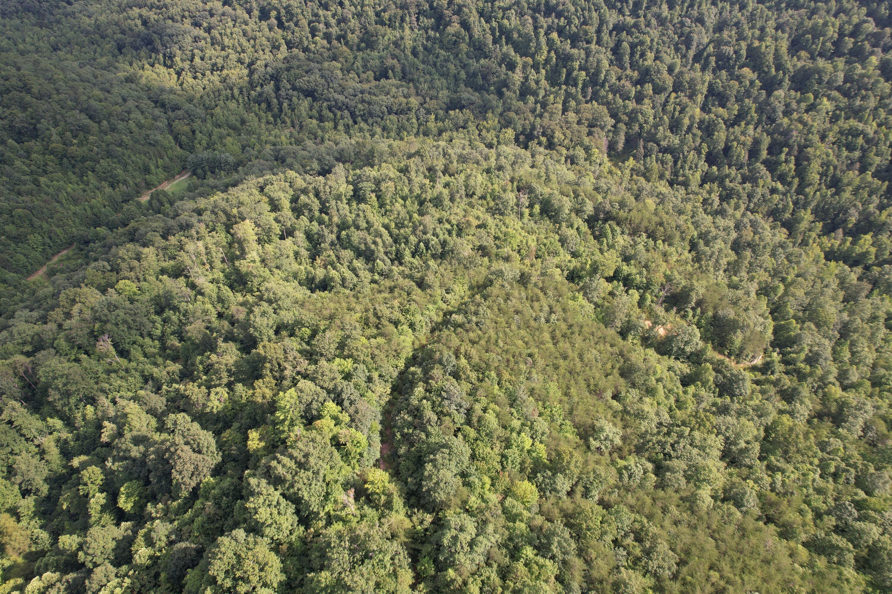 0 Little Rock Creek Road Strunk, KY 42649 - Photo 20 of 29 DJI_0618