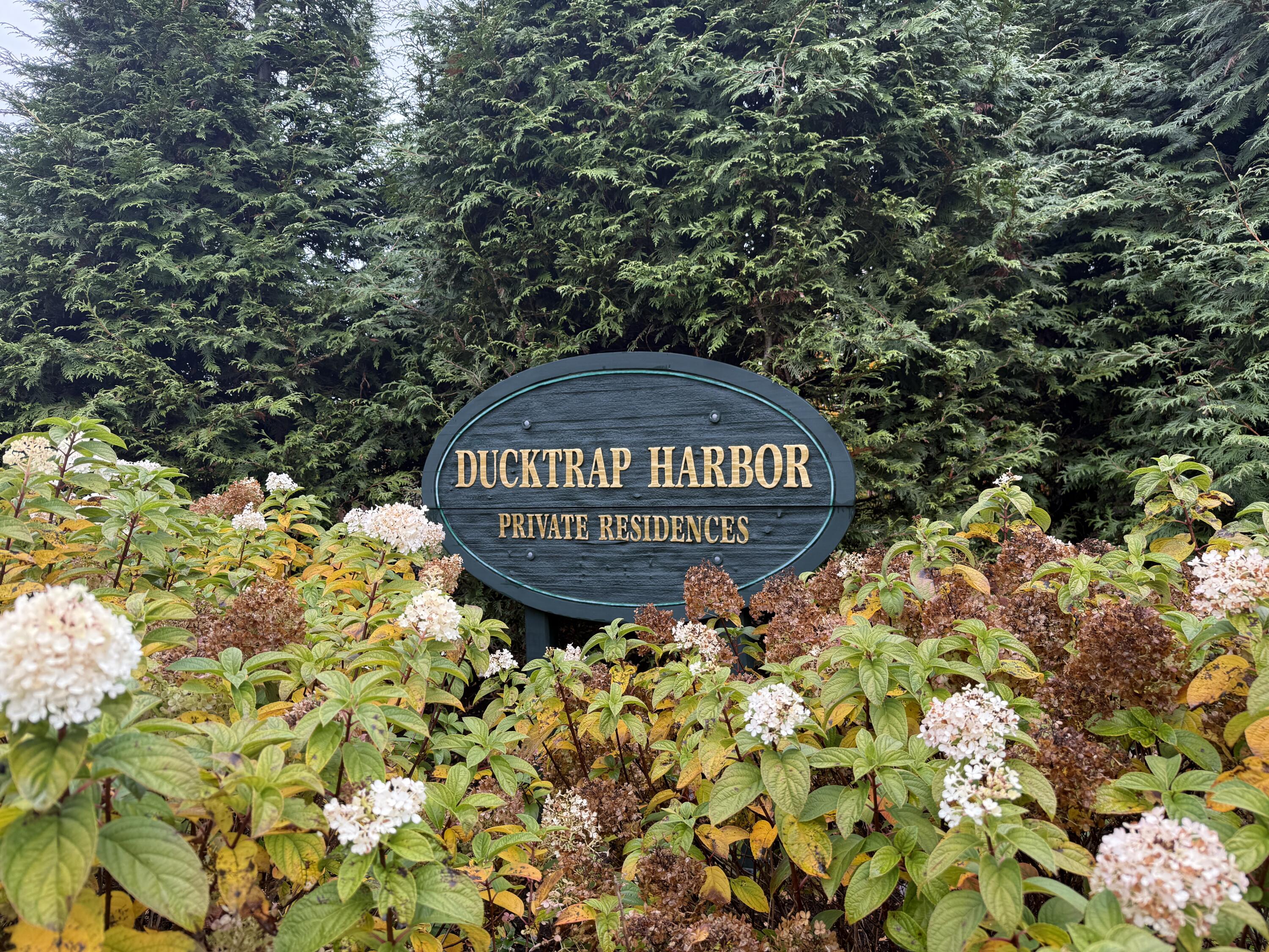 10 Harbor Drive, Unit 10 Lincolnville, ME 04849 - Photo 2 of 71 IMG_1232