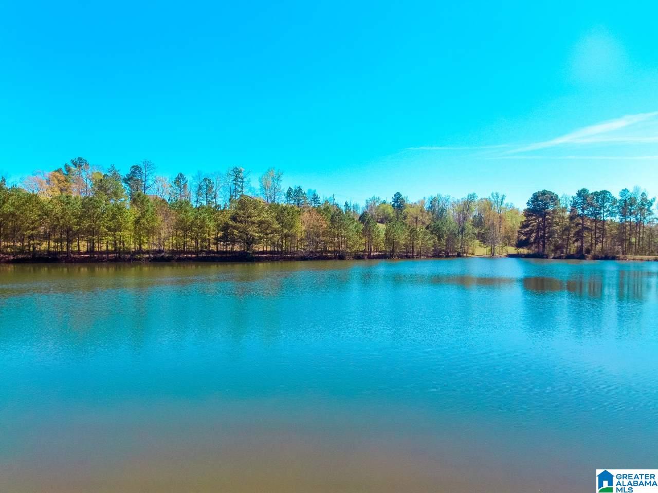 172 Blackjack Road Trussville, AL 35173 - Photo 41 of 48