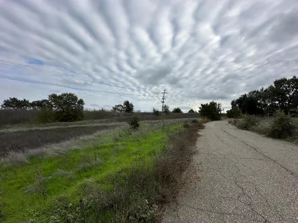 a view of green field with trees in background